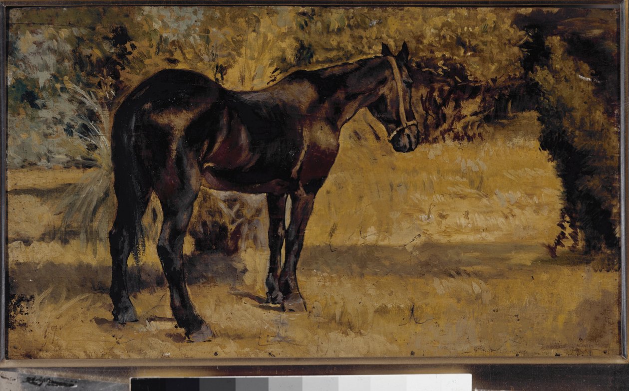 黑马（布面油画 作者 乔凡尼·法托里（Giovanni Fattori）