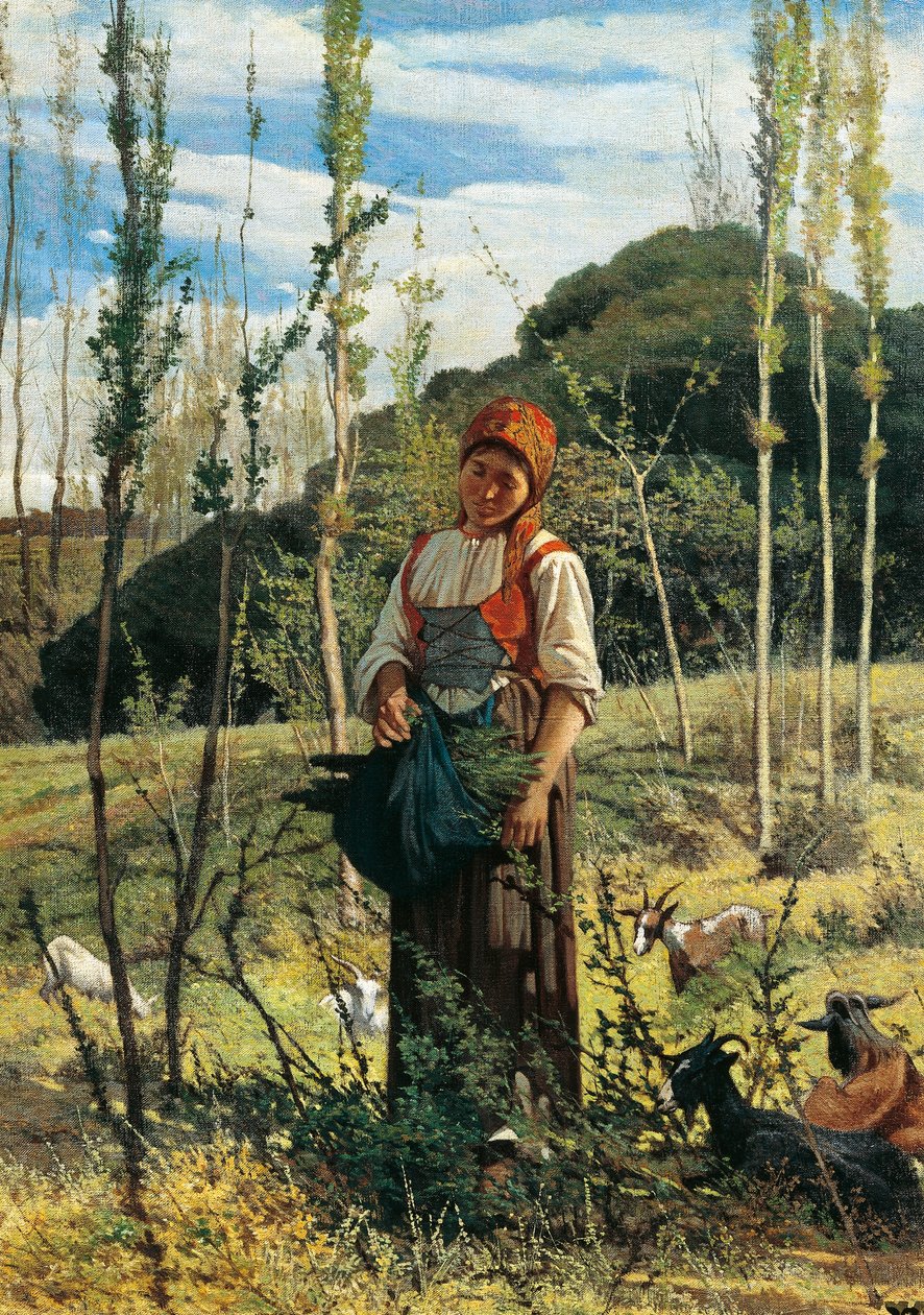 木材中的农民 作者 乔凡尼·法托里（Giovanni Fattori）