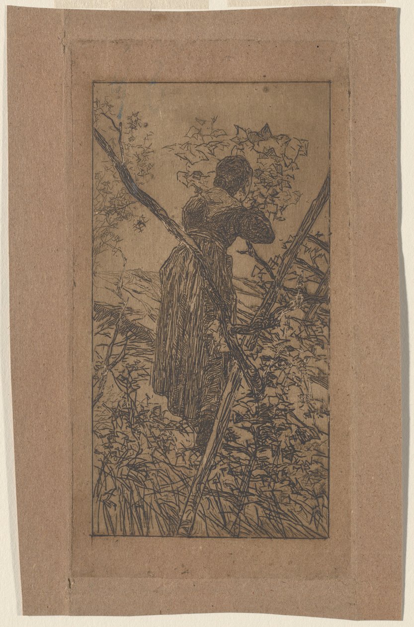 采集叶子 作者 乔凡尼·法托里（Giovanni Fattori）