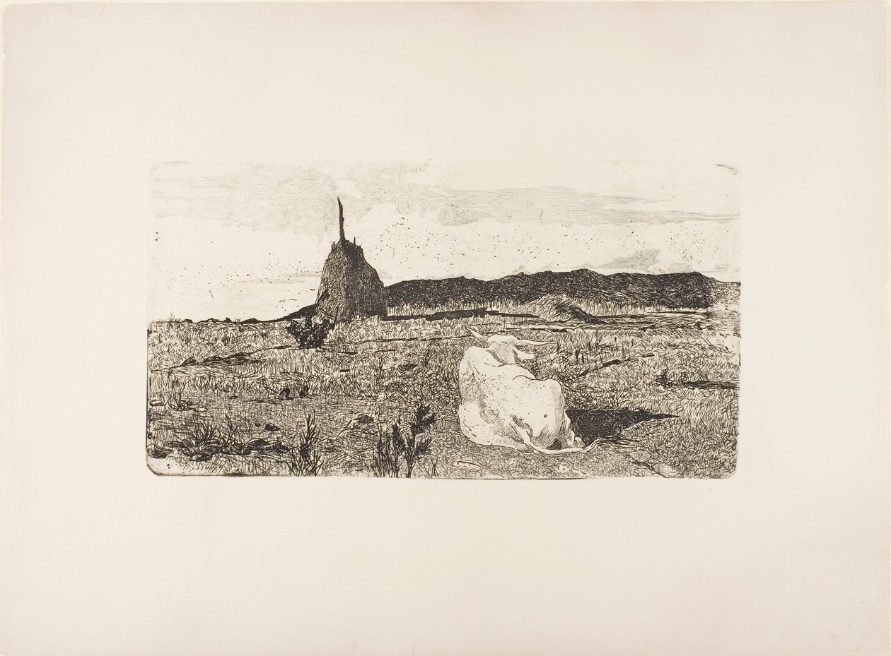 圣牛 作者 乔凡尼·法托里（Giovanni Fattori）