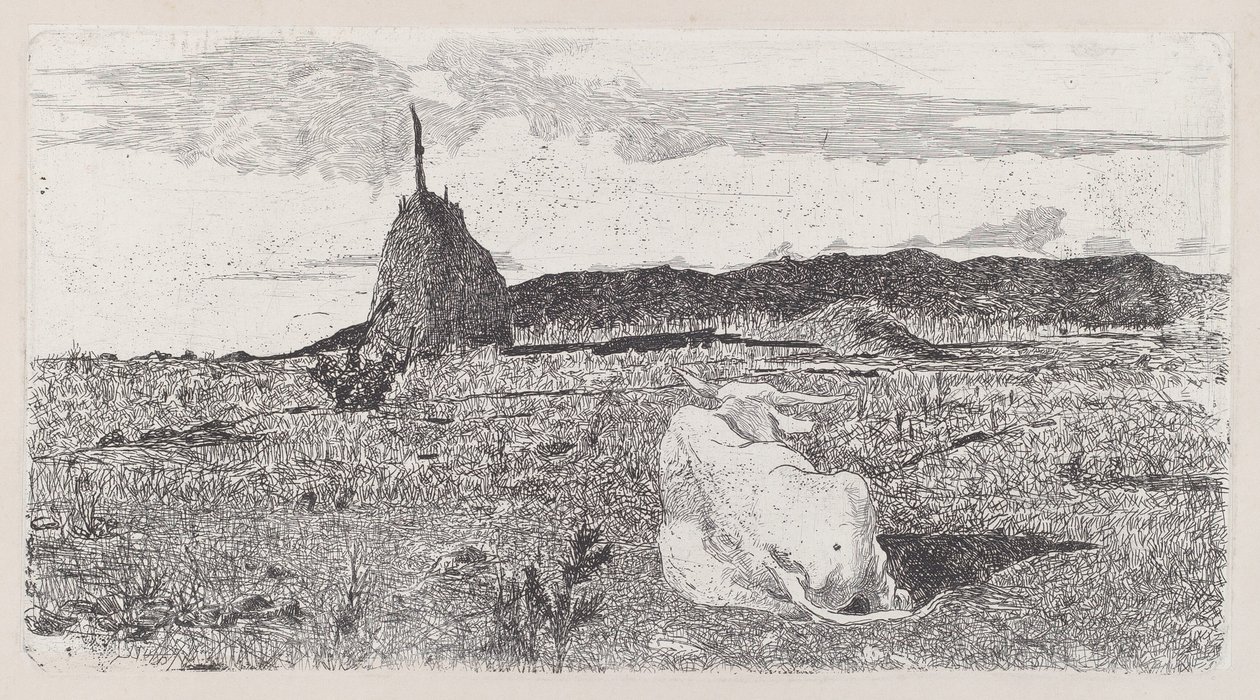 圣牛[Pio bove] 作者 乔凡尼·法托里（Giovanni Fattori）