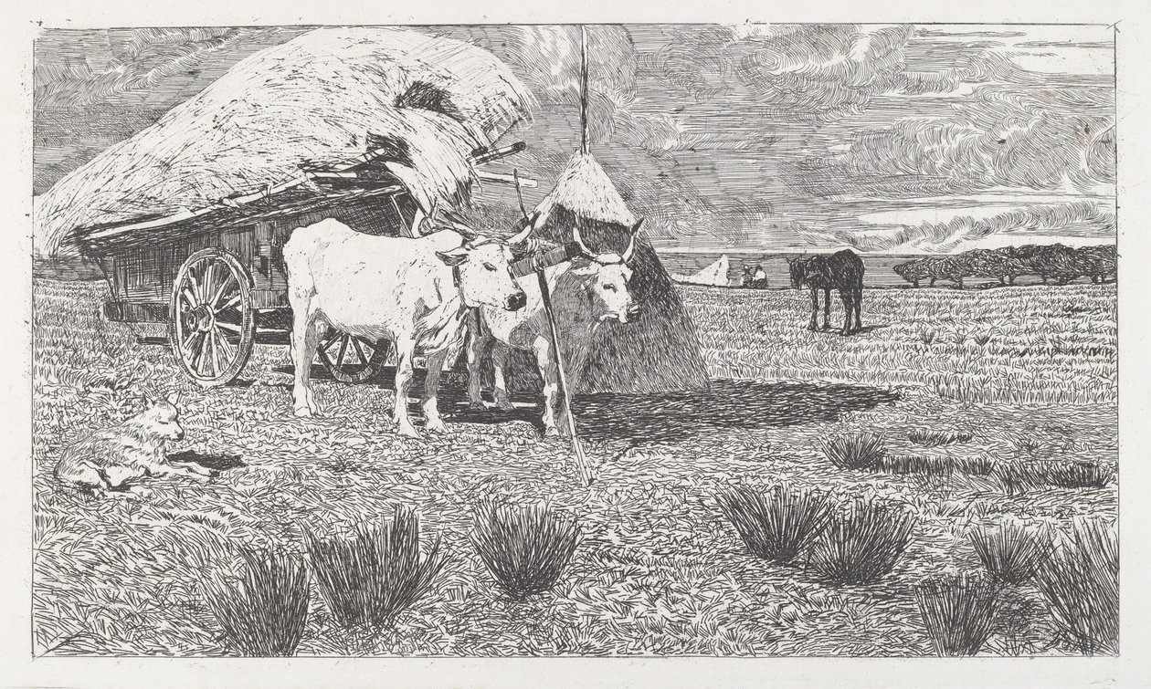 拴在车上的牛 (马雷马) 作者 乔凡尼·法托里（Giovanni Fattori）