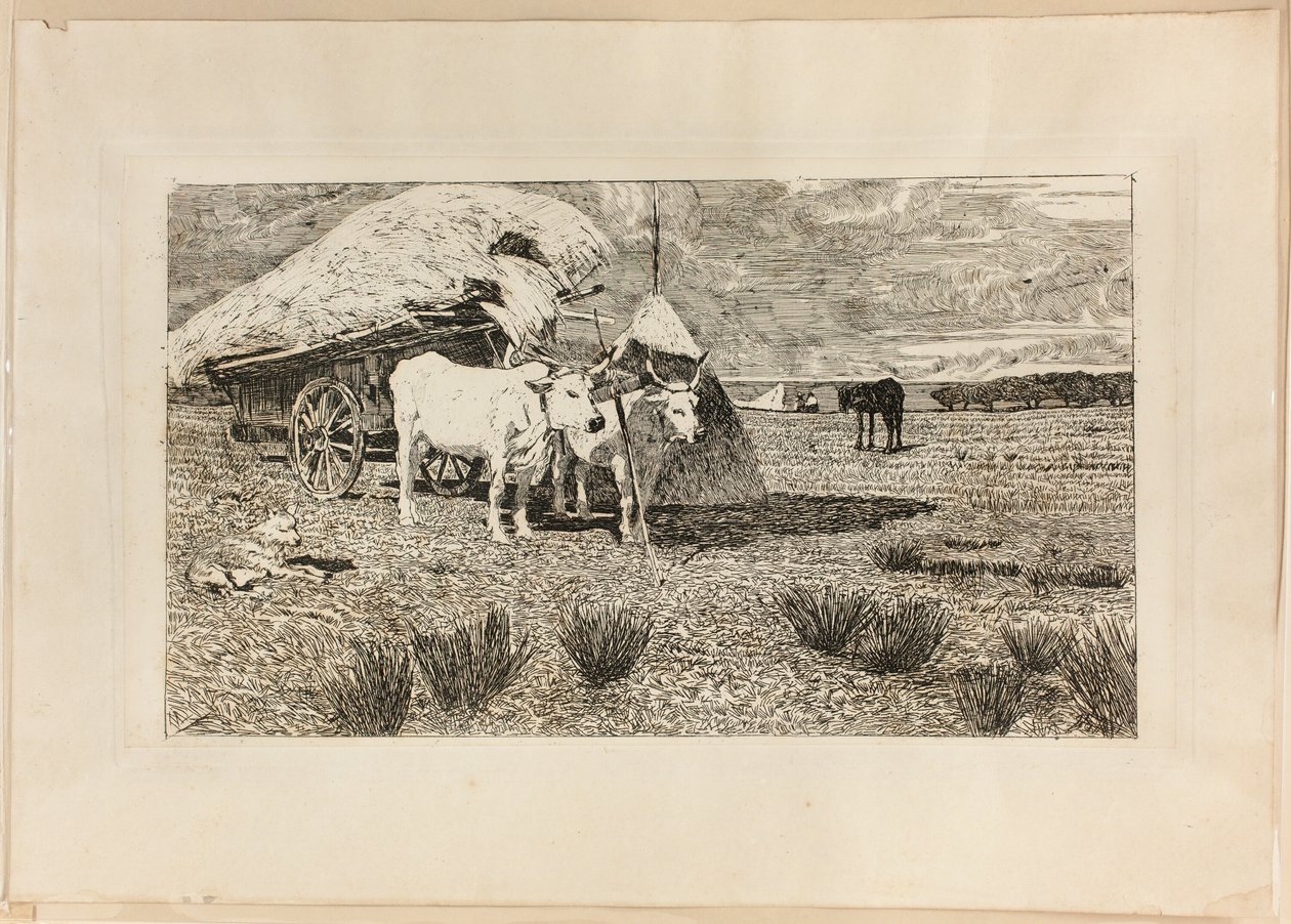 牛和马车（马雷马） 作者 乔凡尼·法托里（Giovanni Fattori）