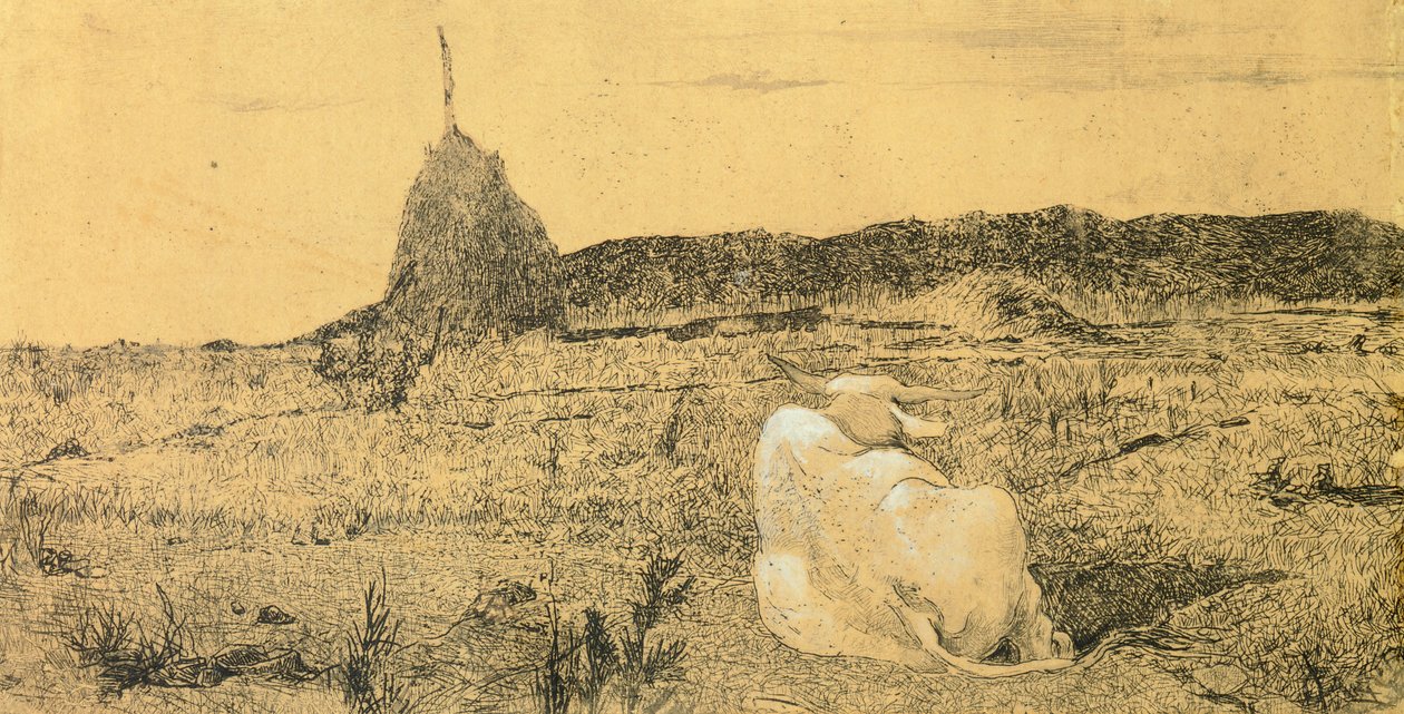 乔瓦尼-法托里（1825-1908）的《皮奥-博夫》（虔诚或和平的牛），蚀刻画 作者 乔凡尼·法托里（Giovanni Fattori）