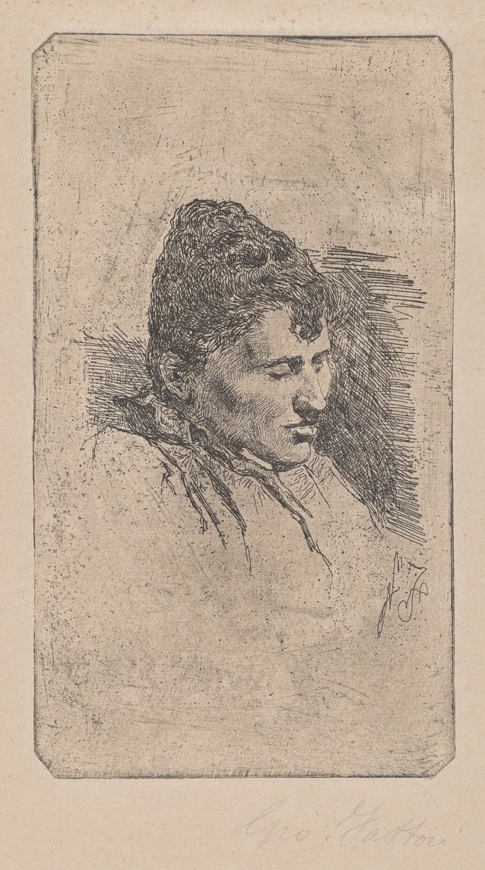 艺术家的第二任妻子的画像 作者 乔凡尼·法托里（Giovanni Fattori）