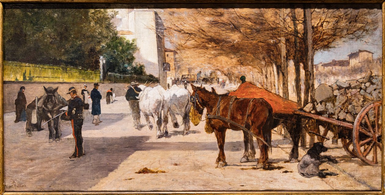 佛罗伦萨阿梅迪奥王子大道 作者 乔凡尼·法托里（Giovanni Fattori）