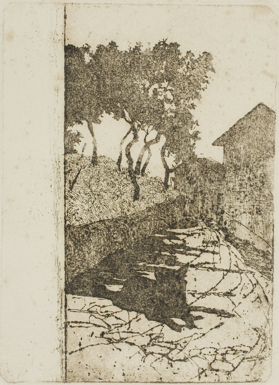 黑狗 作者 乔凡尼·法托里（Giovanni Fattori）