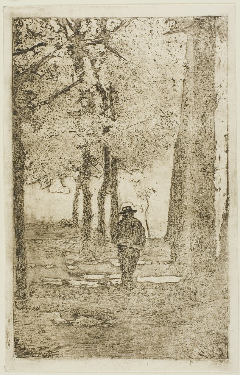 有图有真相的林中漫步 作者 乔凡尼·法托里（Giovanni Fattori）