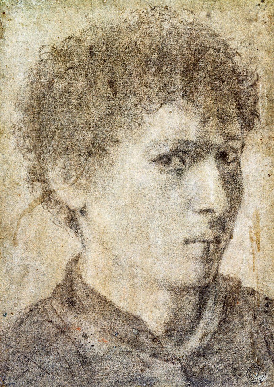 小男孩的头像，吉安-吉罗拉莫-萨沃尔多（约 1480-1548 年）的绘画，黑铅笔和白粉笔，意大利 作者 乔瓦尼·吉罗拉莫·萨沃尔多