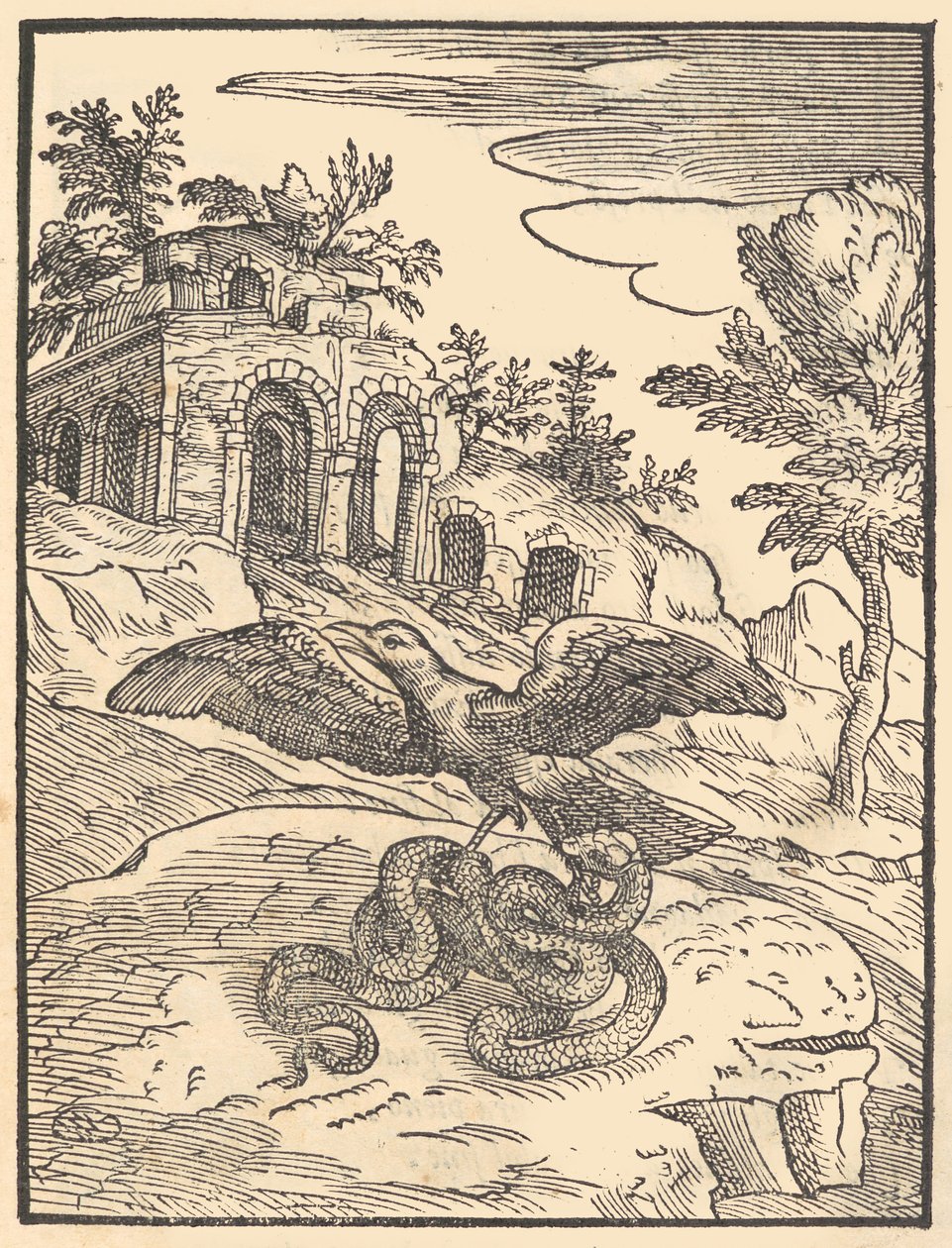 鸟和蛇，1570年。 作者 乔瓦尼·玛丽亚·威尔迪佐蒂