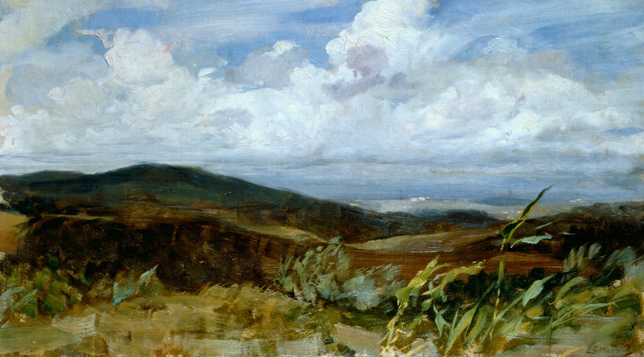 乔瓦尼-穆齐奥利（1854-1894）的风景画，布面油画，39x68厘米 作者 乔凡尼·穆齐奥利（Giovanni Muzzioli）