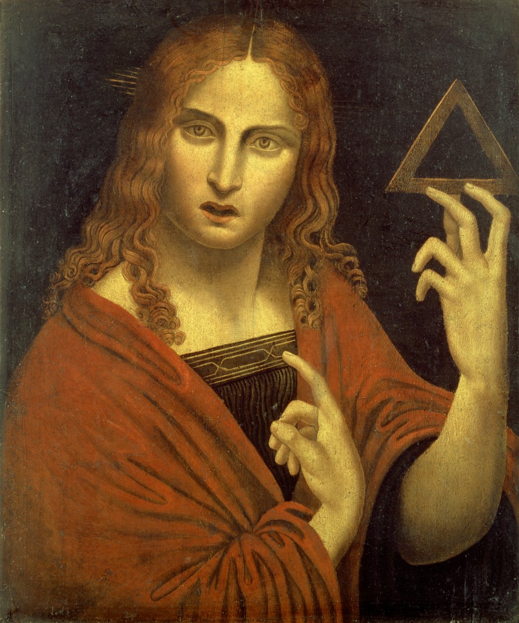 救世主基督手持三位一体的标志（展板） 作者 Giovanni Pietro Rizzoli (学校) Giampietrino