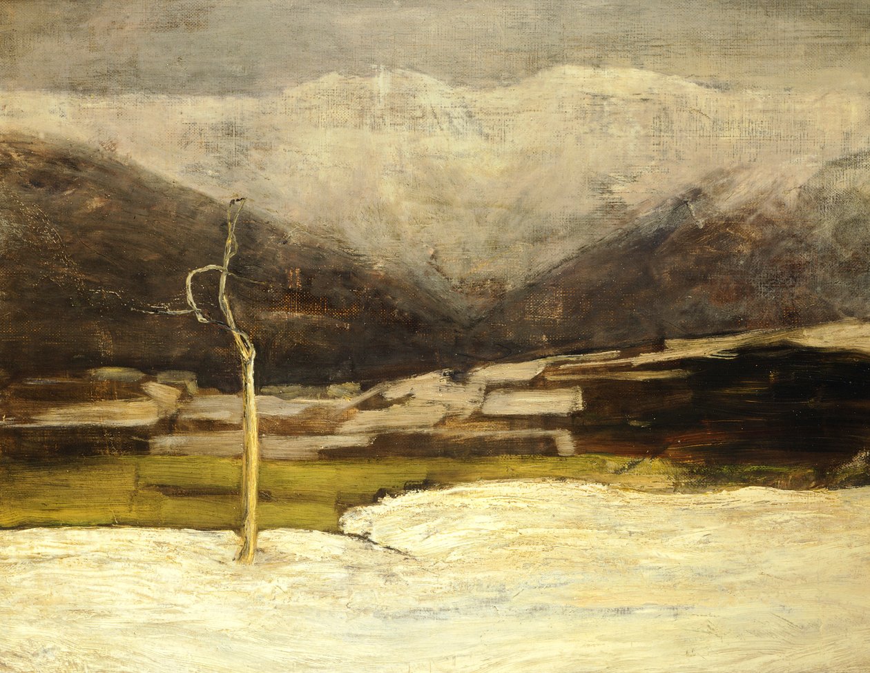 萨沃尼诺景观 作者 乔凡尼·塞甘蒂尼（Giovanni Segantini）
