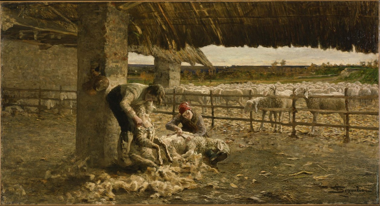 剪羊毛，1883-1884年 作者 乔凡尼·塞甘蒂尼（Giovanni Segantini）