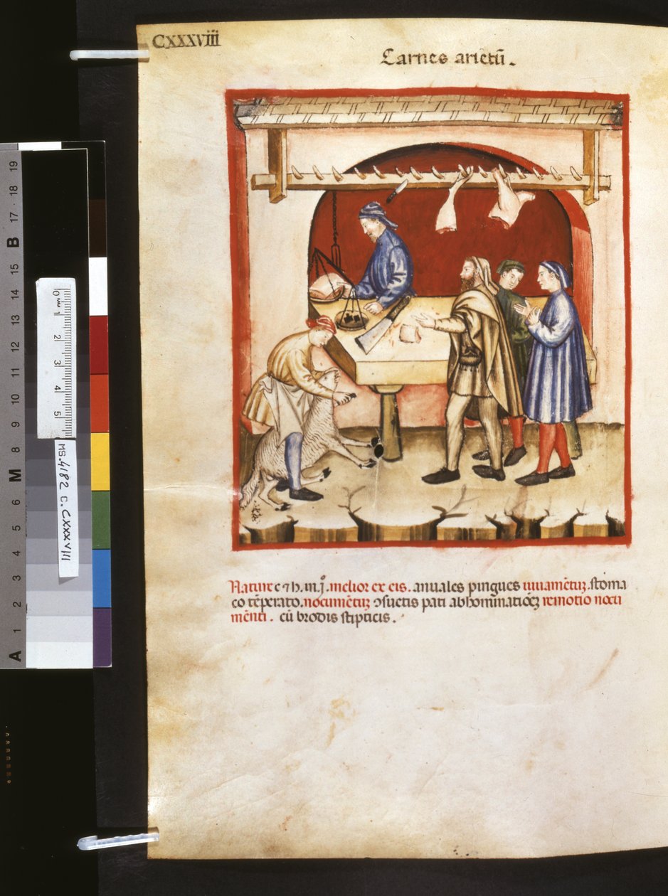 乌布恰西姆-德-巴尔达赫的疗养院："Carnes Arietum"，14 世纪头十年（微缩图） 作者 乔瓦尼诺·德·格拉西（学校）