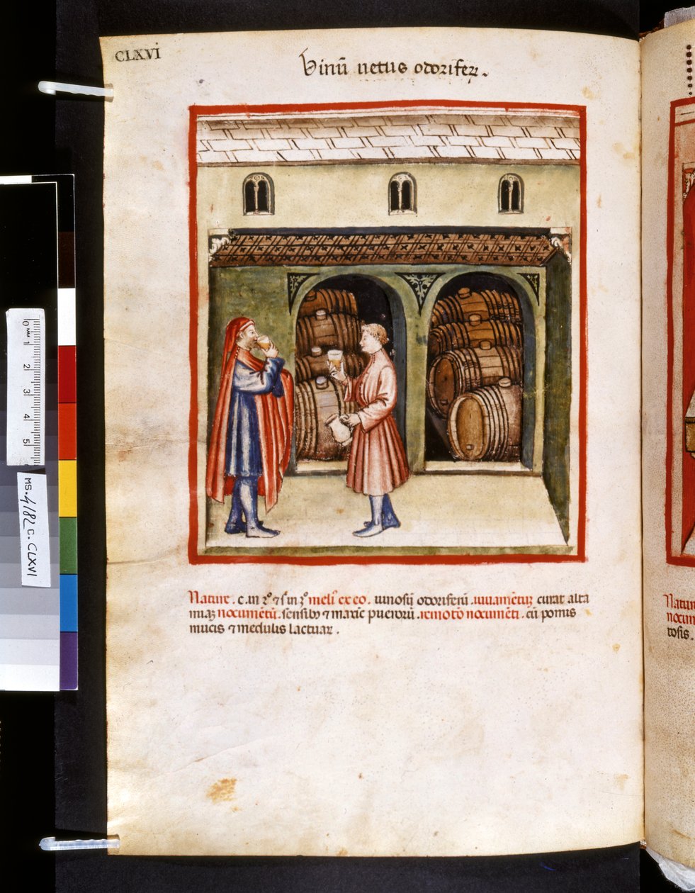 乌布恰西姆-德-巴尔达奇的疗养手册："Vinum Vetus Odoriferum"，14 世纪头十年（微缩图） 作者 乔瓦尼诺·德·格拉西（学校）