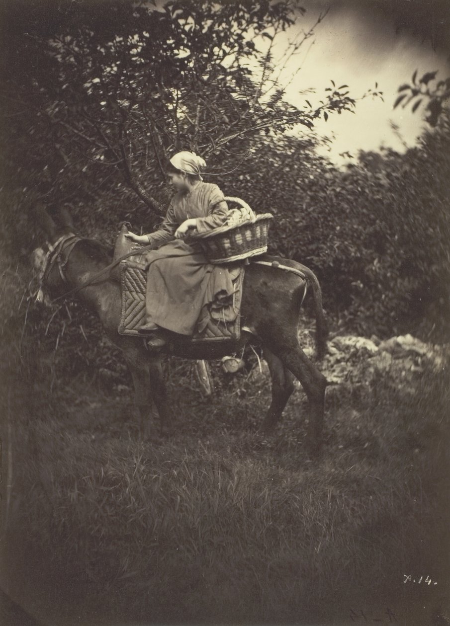女农夫骑驴，1870年。 作者 吉罗东的艺术家