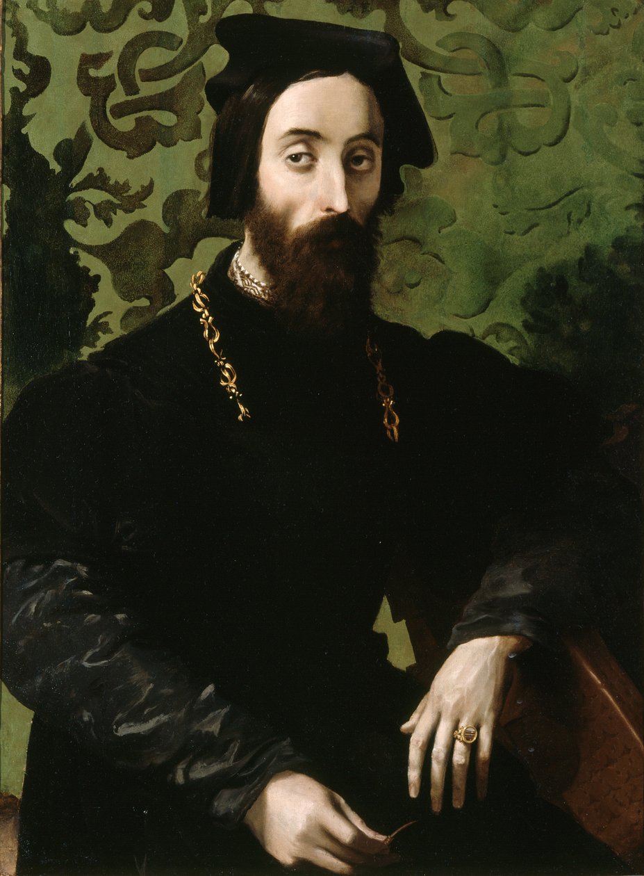 音乐家肖像》，约 1540 年（油画板） 作者 吉罗拉莫·马佐拉 (Girolamo Mazzola) 贝多利