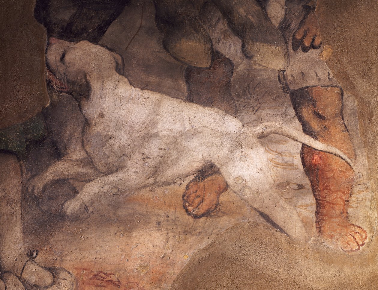 狗的形象，Girolamo Romanino（约1484-1566）的壁画细节，Sant