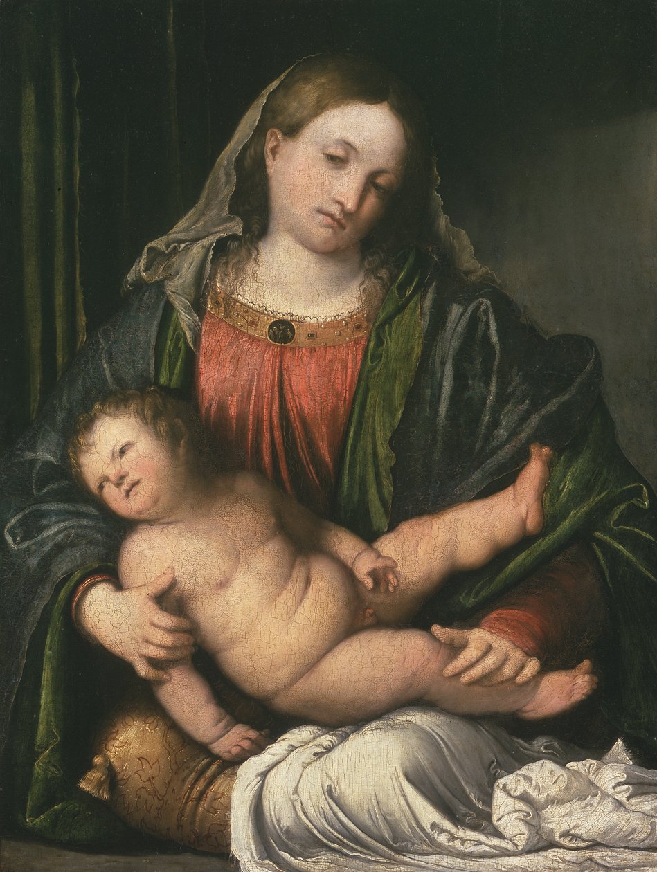 麦当娜和儿童，c.1516-17（面板上的油） 作者 罗洛尼诺（Girolamo Romanino）