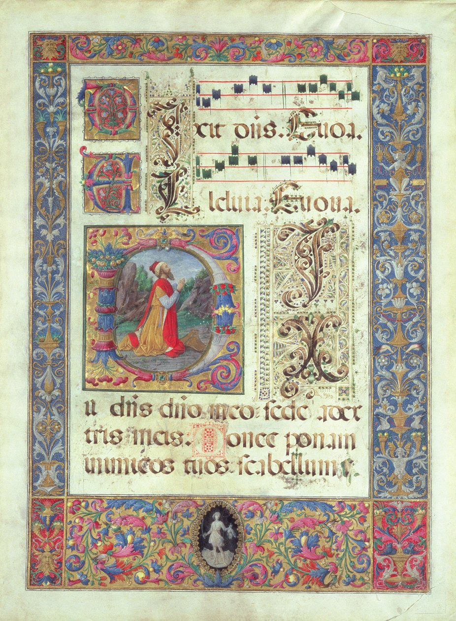 来自手稿的页面，其中有一个描述大卫王的历史初期D，c.1480 作者 朱利亚诺·阿玛迪（Giuliano Amadei）