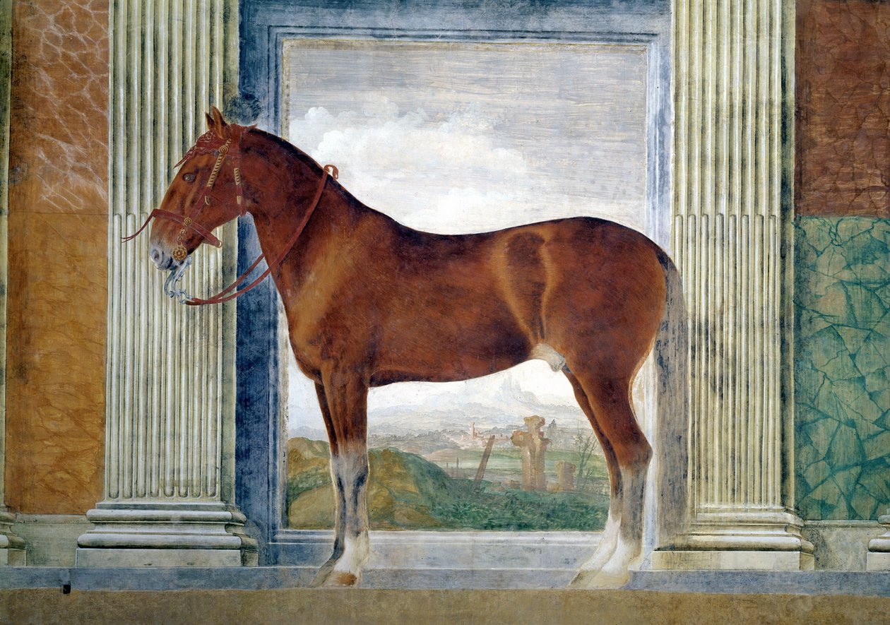 Sala dei Cavalli，详细展示了1528年曼图亚Ludovico Gonzaga III马厩的栗色马画像 作者 朱利奥·罗马诺
