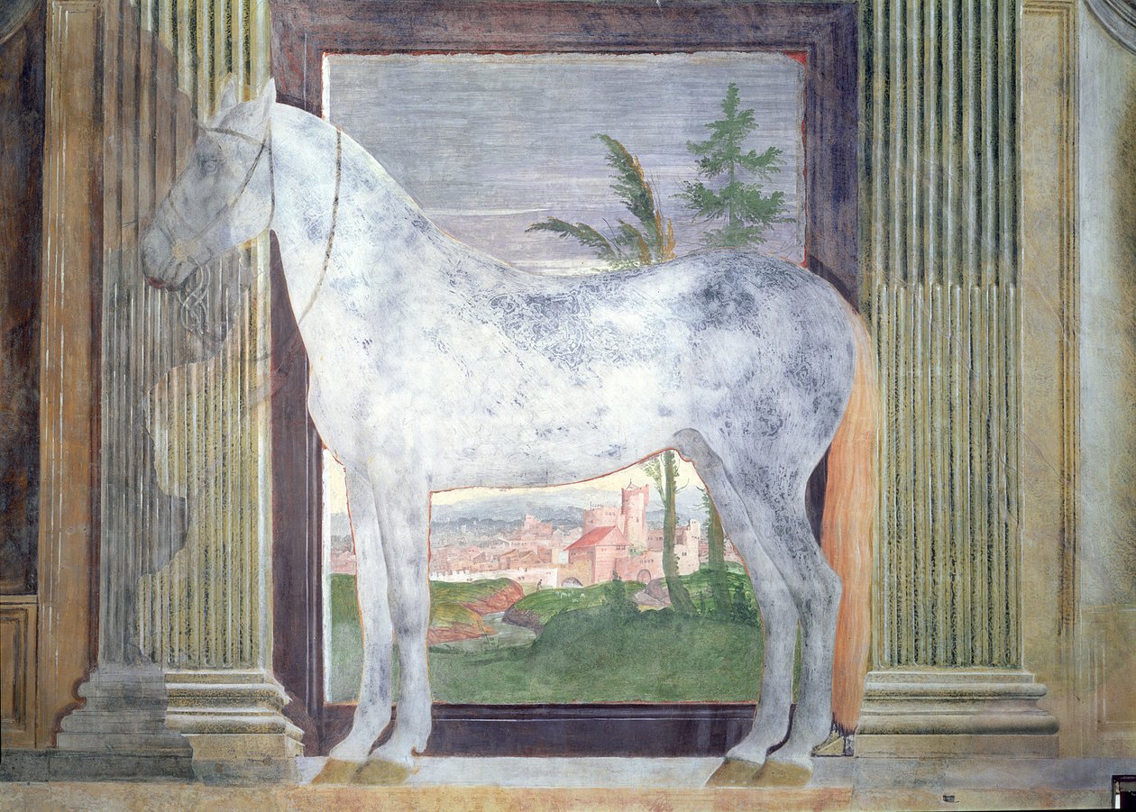 Sala dei Cavalli，详细展示了1528年曼图亚Ludovico Gonzaga III马厩灰马的肖像 作者 朱利奥·罗马诺