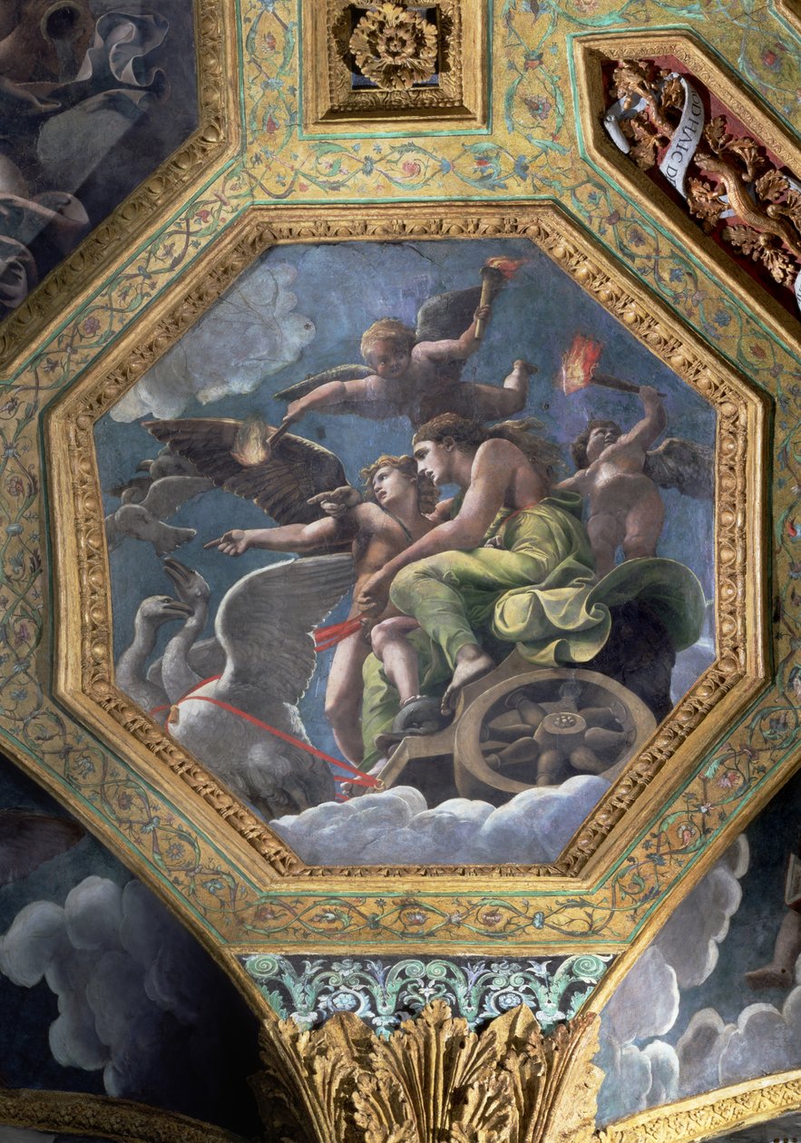 金星和丘比特在一辆战车上画的天鹅，天花板沉箱来自Sala di Amore e Psiche，1528年（灰泥上的油） 作者 朱利奥·罗马诺