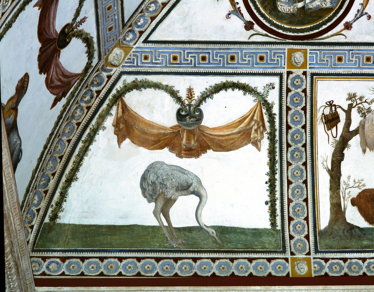 相机con Fregio di Amorini室内丘比特弗里兹详细的鸵鸟，1520年代壁画 作者 朱利奥·罗马诺