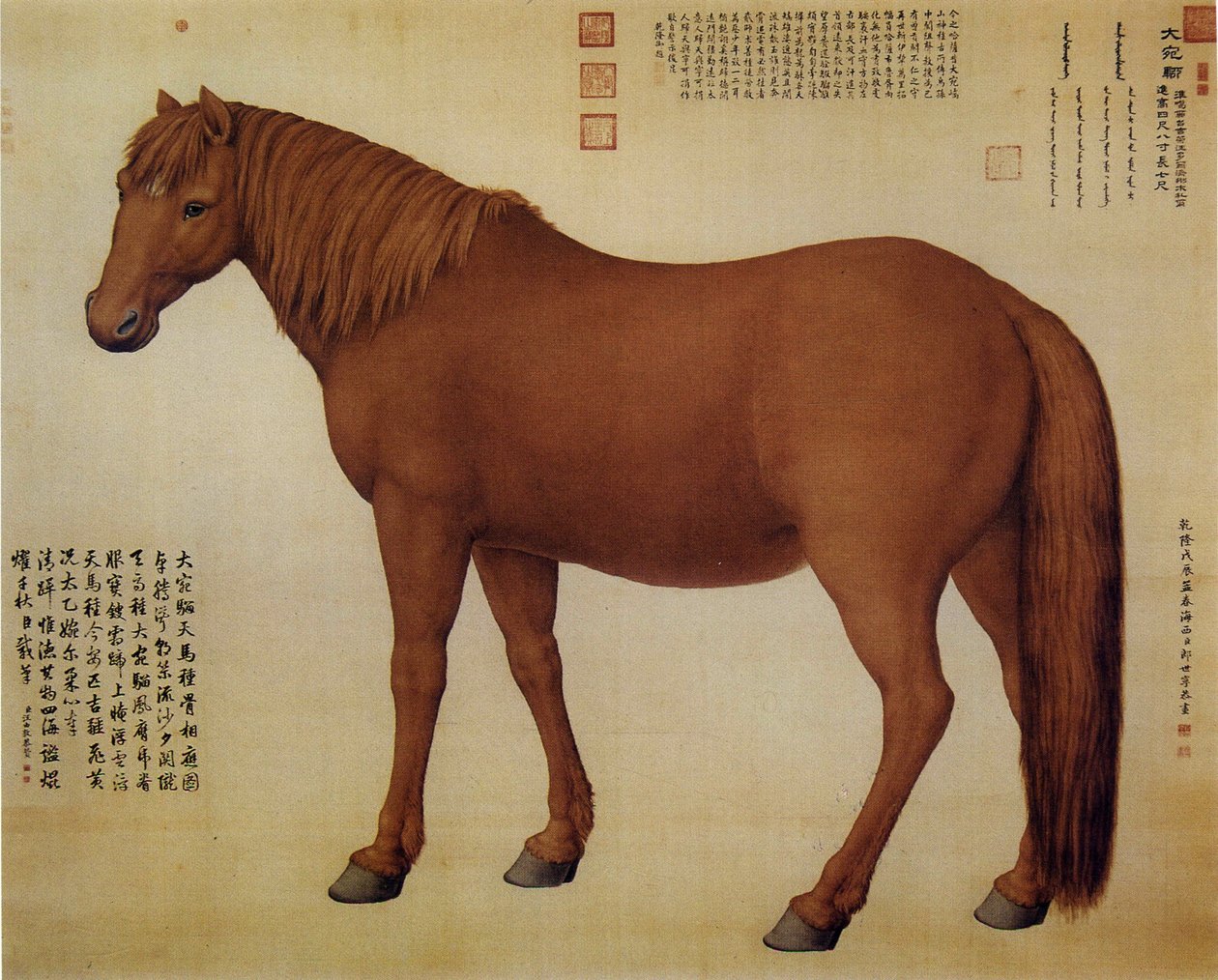 一匹名叫大万柳的马 作者 郎世宁
