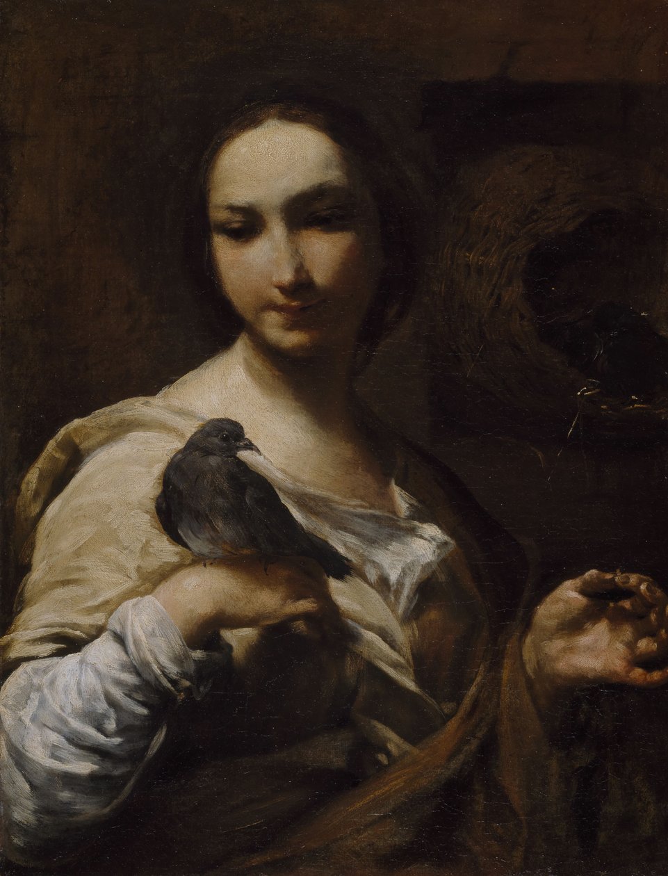 手持鸽子的女孩，1721-27。 作者 朱塞佩·玛丽亚·克雷斯皮