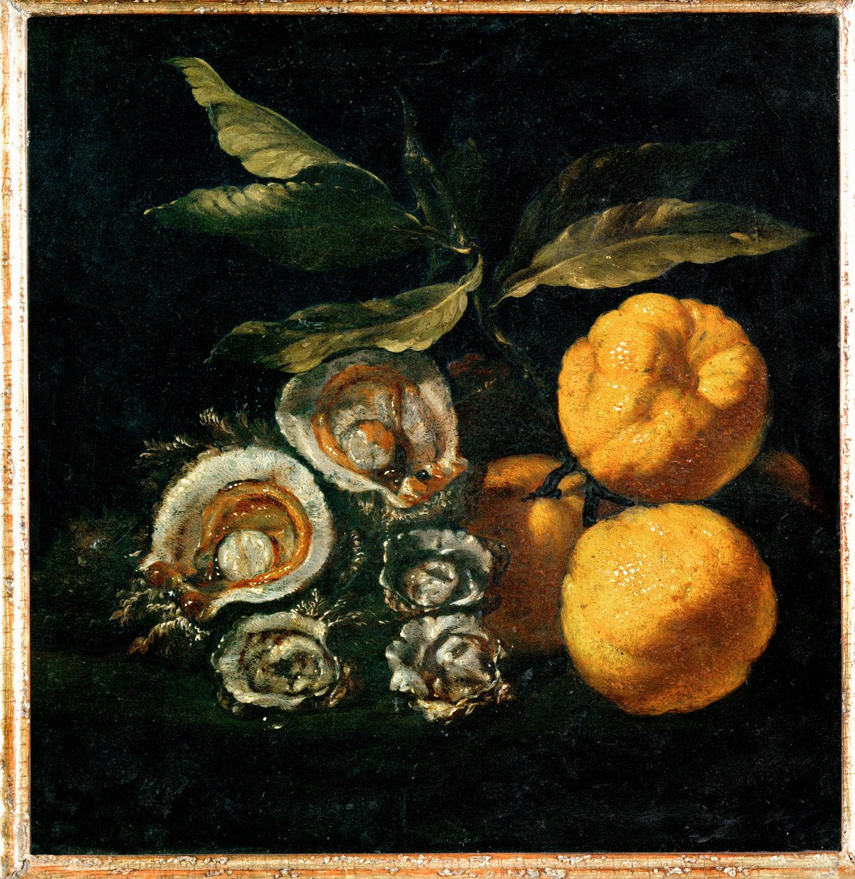 Nature Morte aux huitres et aux coings - 静物与牡蛎和榅桲... 作者 朱塞佩·雷科