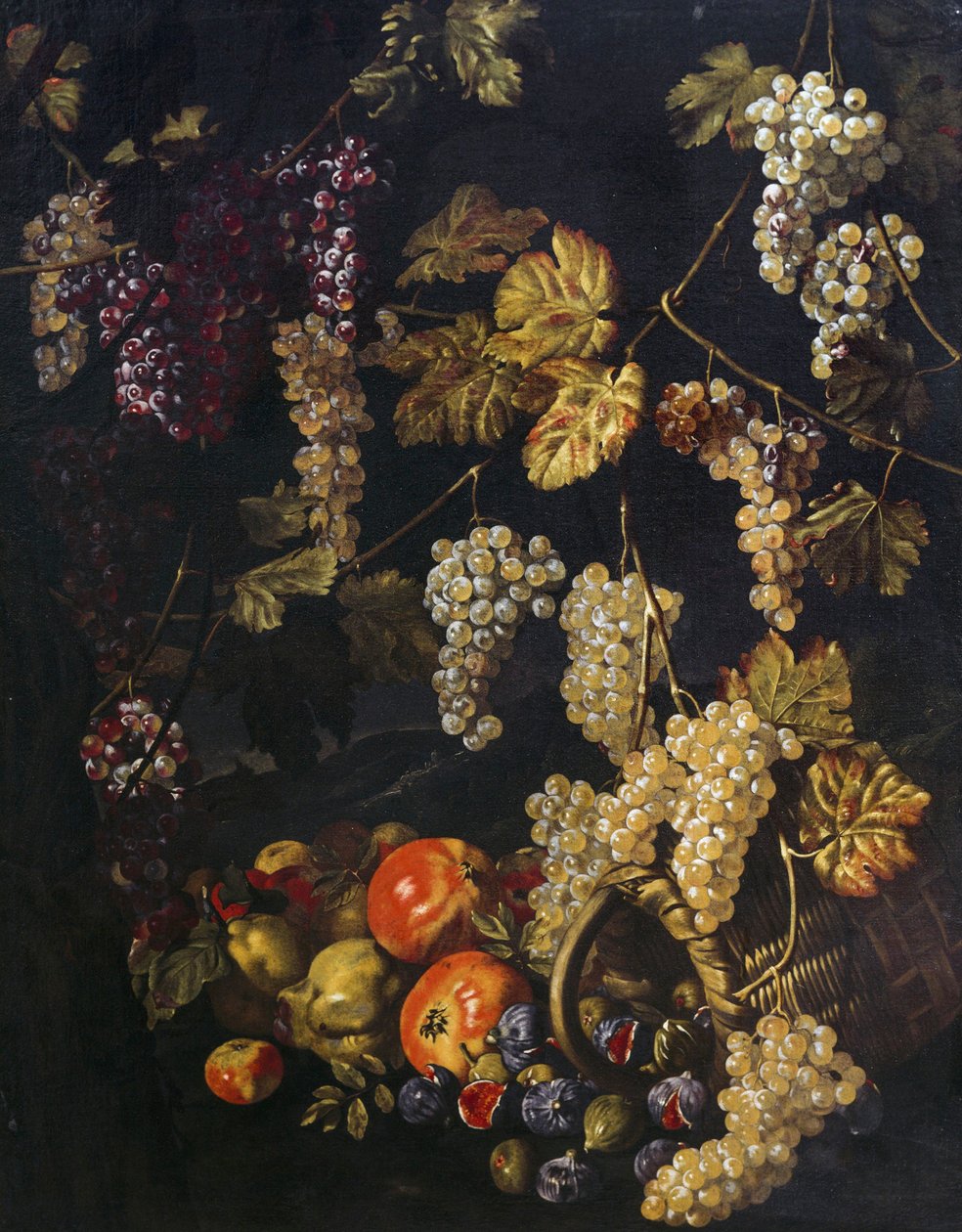静物画，有葡萄、藤叶和其他水果，朱塞佩·雷科 (Giuseppe Recco) 的油画（1634-1695 年） 作者 朱塞佩·雷科