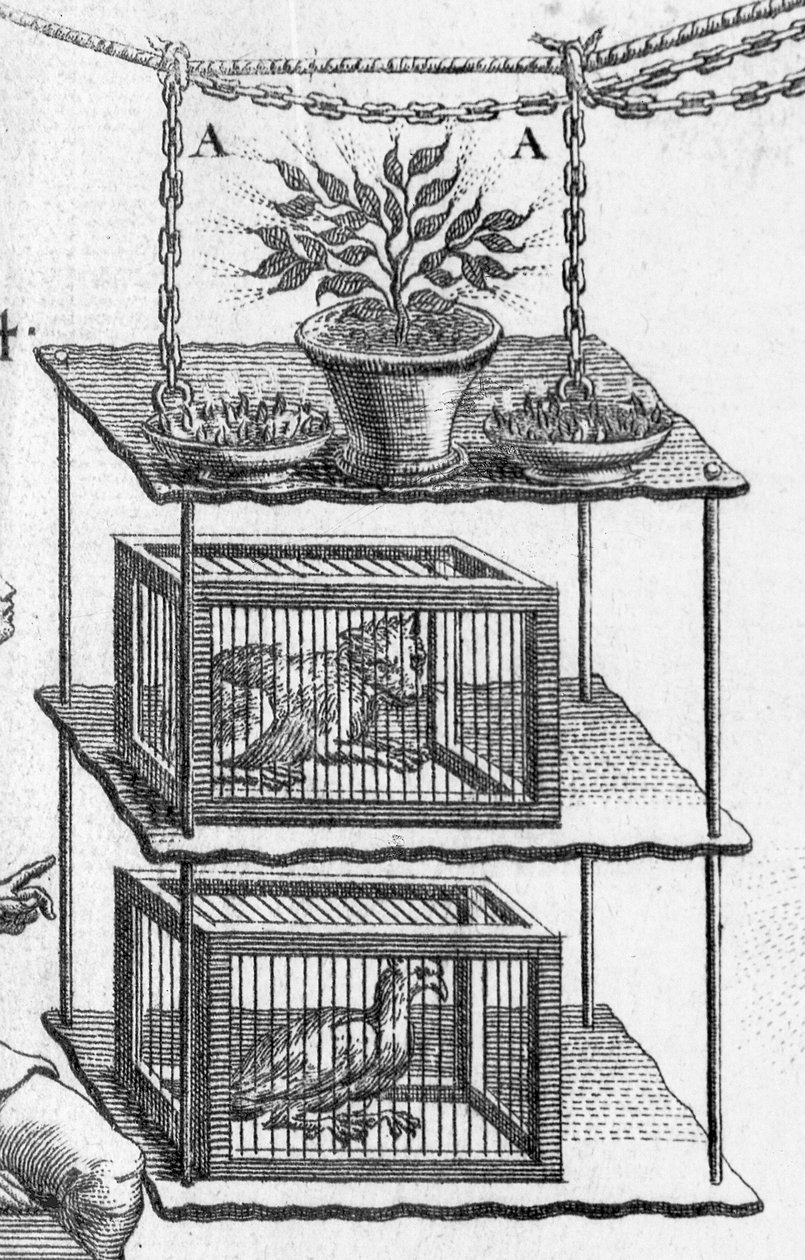 试验电力，来自Essai sur lelectricite des corps的板材由Abbot Jean Antoine Nollet，笼子里的动物细节，1749年雕刻细节224419 作者 戈宾