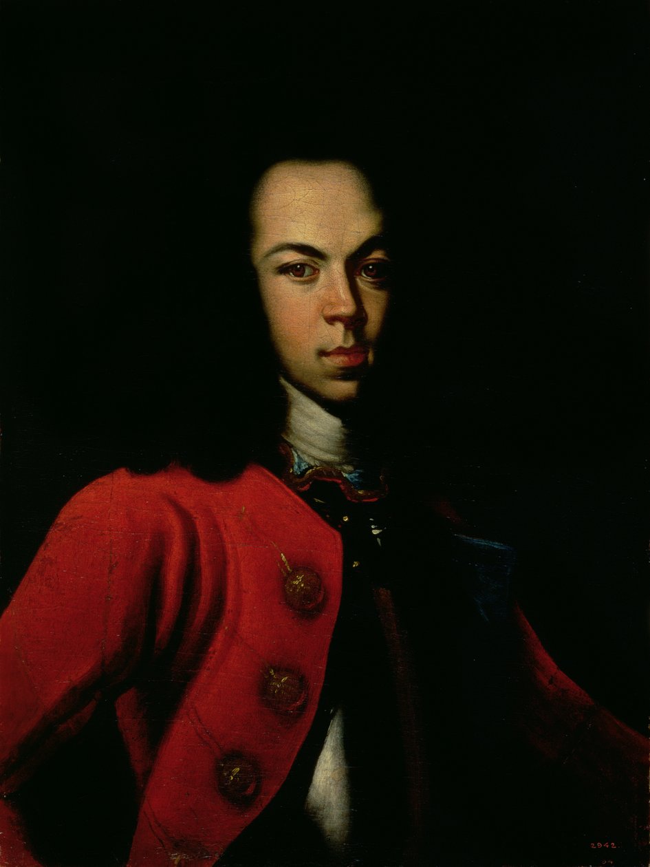 Tsarevich Alexei Petrovich（1690-1718）1710的肖像 作者 戈特弗里德·丹豪尔