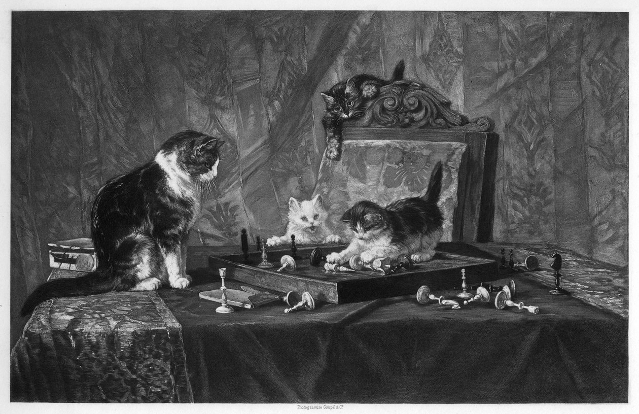 猫玩棋盘。 作者 古皮尔公司
