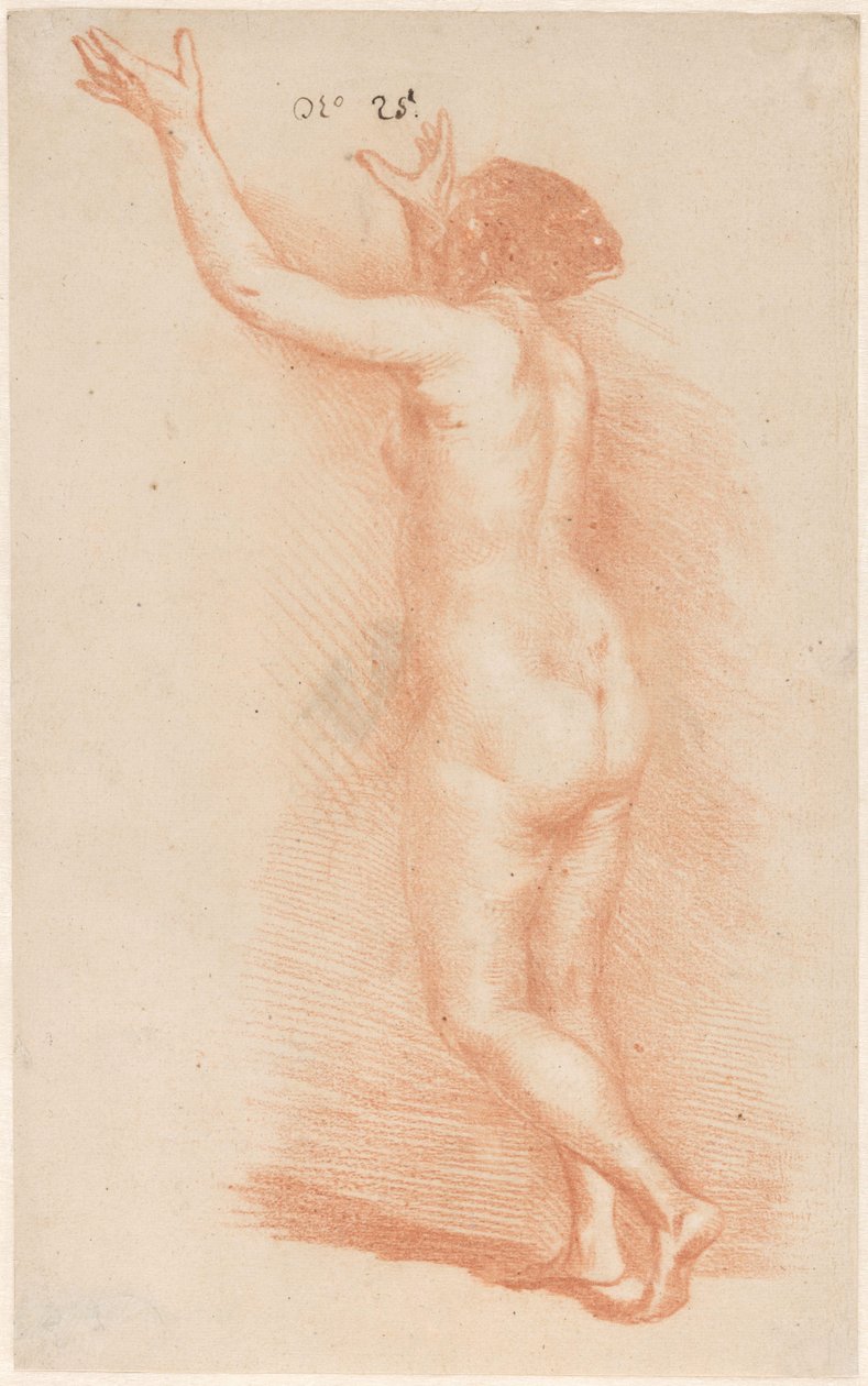 高举双臂的站立女性 作者 Govert Flinck（归因于）