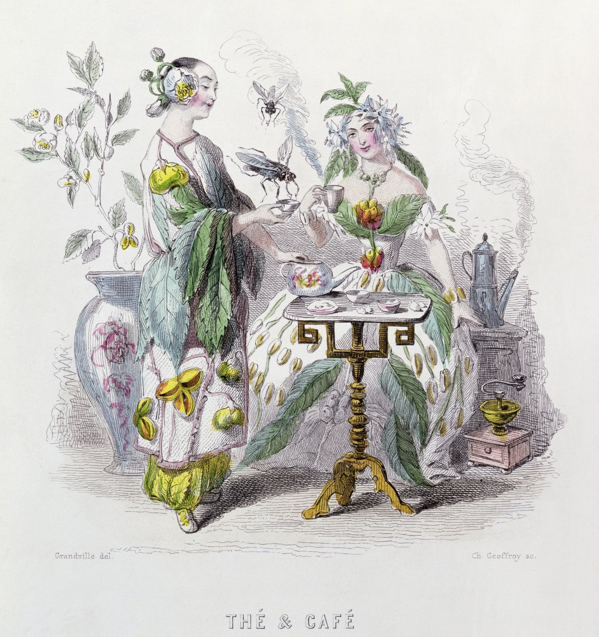 来自&39;Les Fleurs Animees&39;的茶和咖啡，由Charles Geoffrey（1819-82）1847年雕刻 作者 格兰维尔