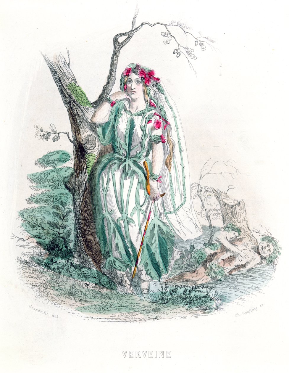 Vervain，来自&39;Les Fleurs Animees&39;，由Charles Geoffroy（1819-82）雕刻，1847年（彩色雕刻） 作者 格兰维尔