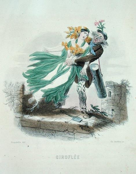 偷壁花的草药师，出自《动漫之花》，由查尔斯-杰弗里（1819-82）雕刻。 作者 格兰维尔