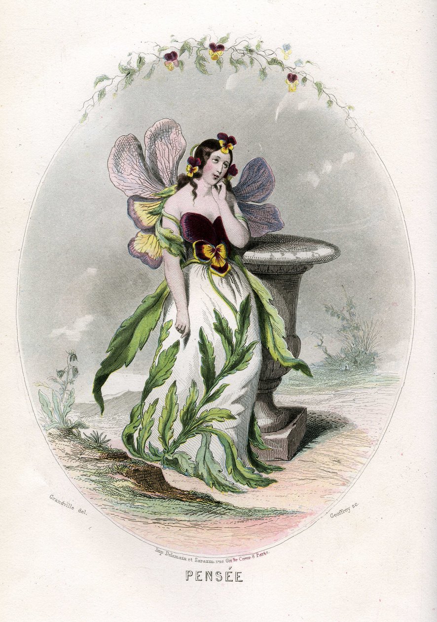 动画花朵》插图 作者 格兰维尔 (1803-47)