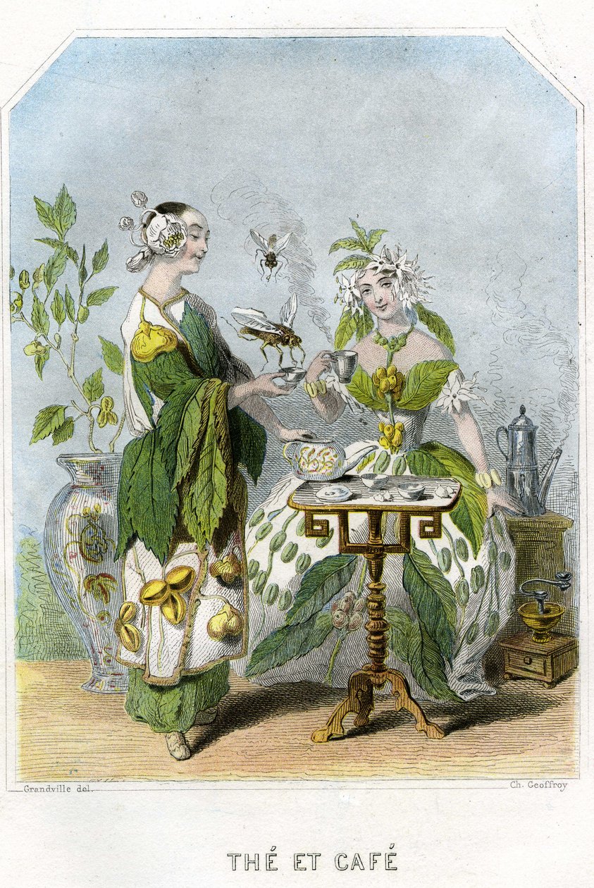 动画花朵》插图 作者 格兰维尔 (1803-47)