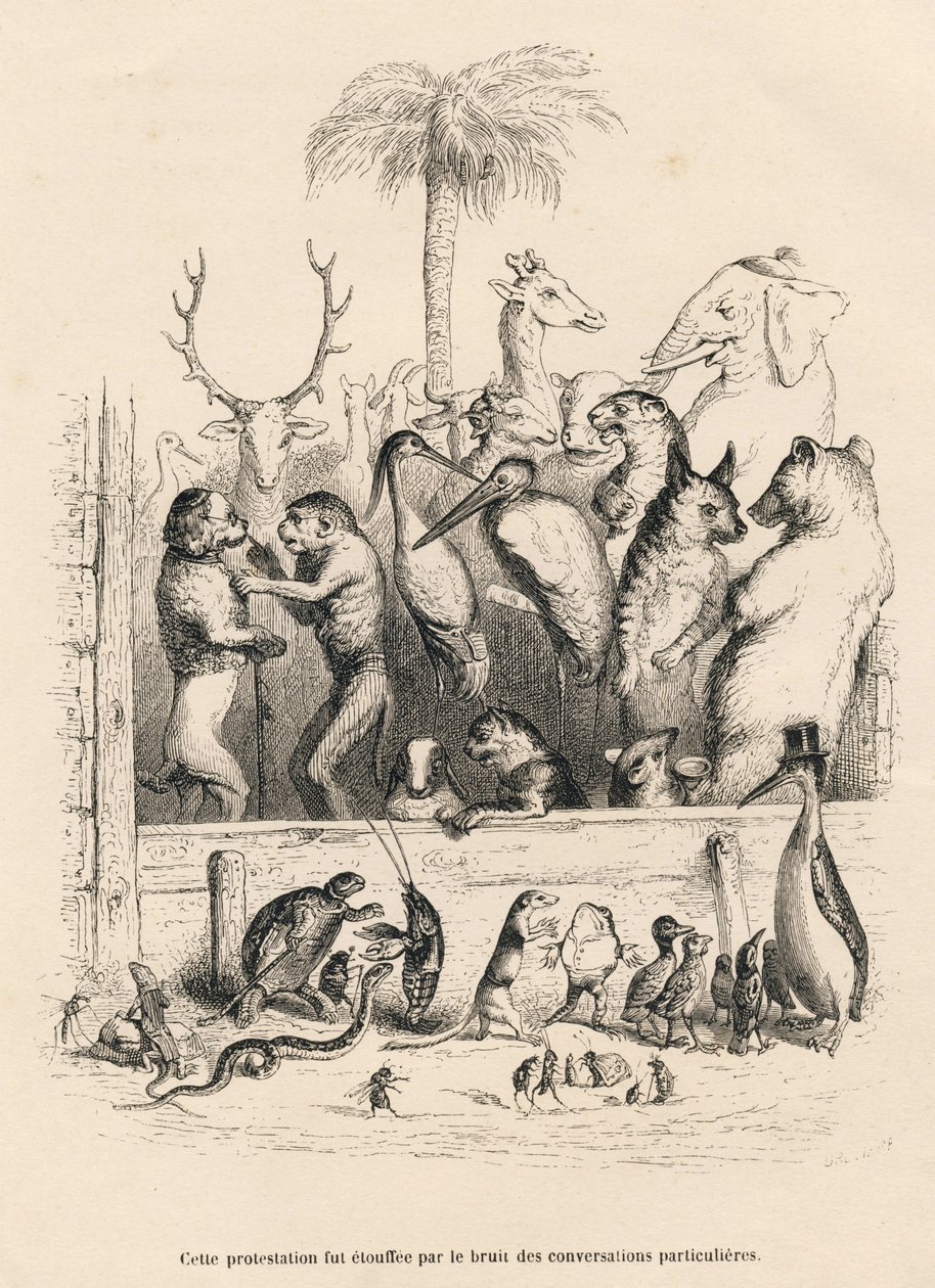 动物之间的对话 .JJ Granville的插图小品。PJ Stahl在 "Scenes de la vie privee et publique des animaux "中撰写的题为 "Resume parlementaire "的序言中签署了Breviere的雕版画。巴黎, J. Hetzel et Paulin 作者 格兰维尔