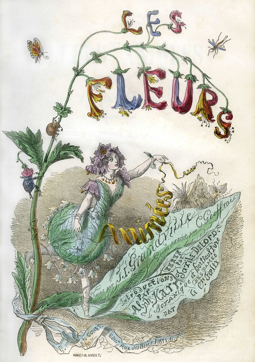 Les Fleurs animees》一书的封面插图，由格兰德维尔绘制，彩色雕版印刷。戈奈 1857 年版 作者 格兰维尔 (1803-47)