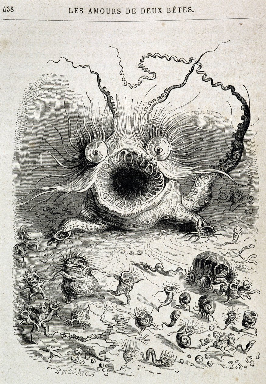 Les amours de deux beêtes (freaking monster) - 载于格兰德维尔的 "动物自画像：动物的私人和公共生活"，Honoré de Balzac的章节，Hetzel编辑。 作者 格兰维尔