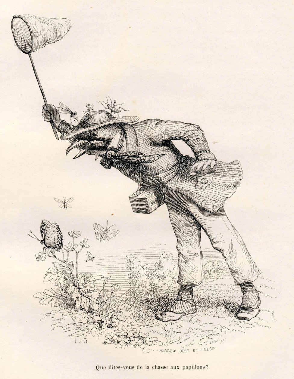 鸟儿追赶蝴蝶。由JJ-格兰维尔绘制的小插图。在Charles Nodier在 "Scenes de la vie privee et publique des animaux "中撰写的题为 "Un renard pris au piege "的部分，有Andrew、Best和Leloir的雕刻。巴黎，J. Hetzel 作者 格兰维尔