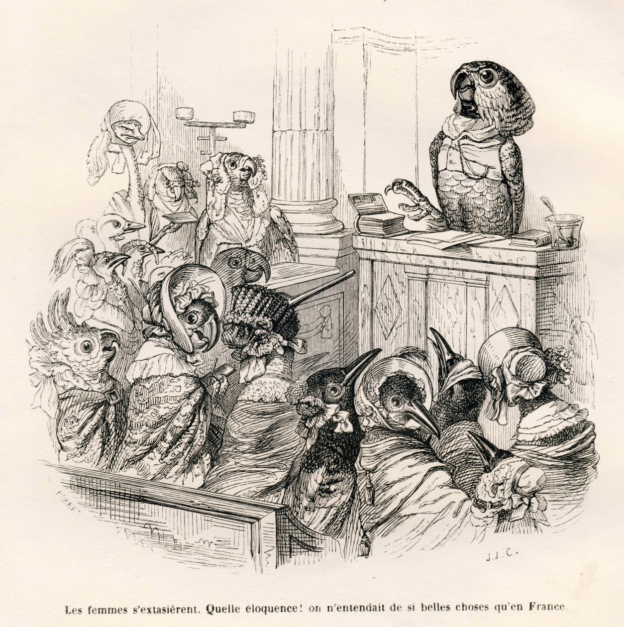 能言善辩的鹦鹉。由JJ-格兰维尔绘制的小插图。由Honore De Balzac在 "Scenes de la vie privee et publique des animaux "中撰写的题为 "Guide-ane a l