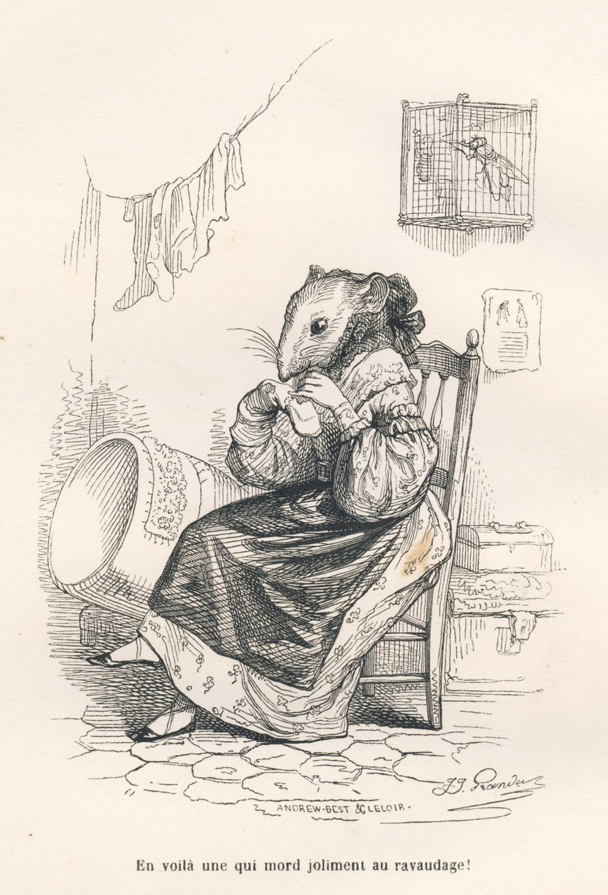 老鼠补袜子。JJ Granville的插图小品。在Edouard Lemoine在 "Scenes de la vie privee et publique des animaux "中撰写的题为 "Le rat philosophe "的部分中签署了Andrew、Best和Leloir的版画。巴黎，J. Hetzel e 作者 格兰维尔