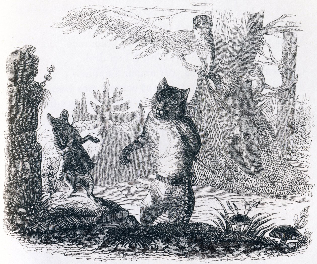 猫和老鼠（Le chat et le rat）--拉封丹的寓言故事 作者 格兰维尔