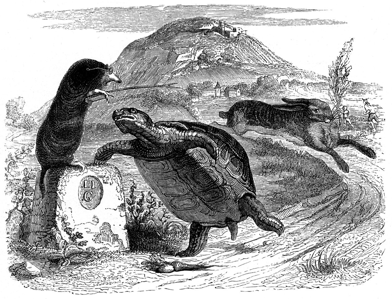 兔子和乌龟拉封丹寓言，格兰维尔插图。 作者 格兰维尔 (1803-47)